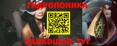 МДМА Можга