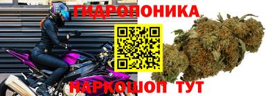 Альфа ПВП Можайск