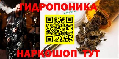 МДМА Можга