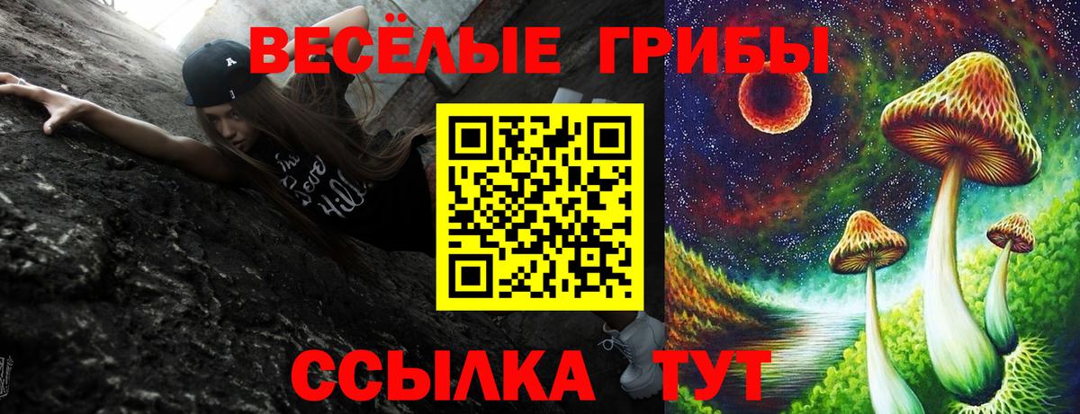 Псилоцибиновые грибы Psilocybe Воркута