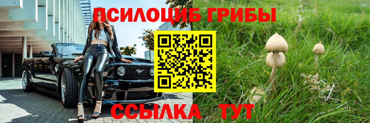 что такое наркотик  Псилоцибиновые грибы мицелий  Вход с VPN  Воркута 